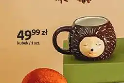 Empik Kubek jeż Hello Autumn oferta