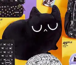Empik Poduszka Purrrfect School oferta