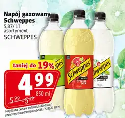 Prim Market Napój gazowany Schweppes oferta