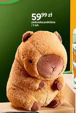 Empik Poduszka podróżna Cappy Classes oferta