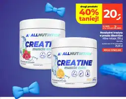 Dealz Monohydrat kreatyny w proszku Allnutrition malinowy oferta