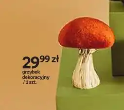 Empik Grzybek dekoracyjny Hello Autumn oferta