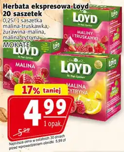 Prim Market Herbata ekspresowa Loyd oferta