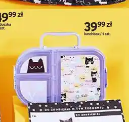 Empik Lunchbox Purrrfect School oferta