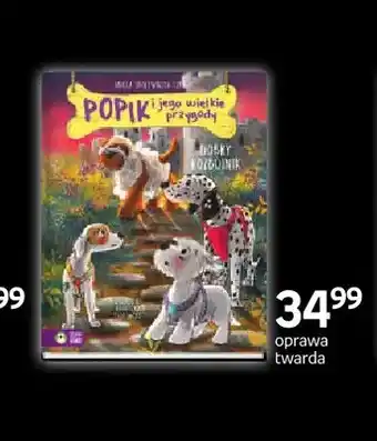 Książka Popik i jego wielkie przygody Dobry rozbójnik Zielona Sowa
