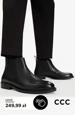 CCC Sztyblety Lasocki oferta