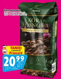 Prim Market Kora Sosnowa Damag oferta