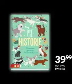 Empik Książka Psie historie Zielona Sowa oferta
