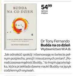 Empik Książka Dr Tony Fernando Budda na co dzień oferta