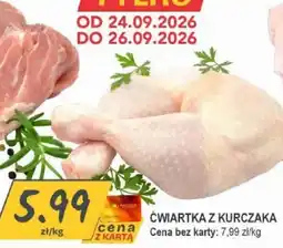 Słoneczko Ćwiatka z Kurczaka oferta
