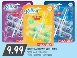 Słoneczko Kostka do WC Wellnax oferta