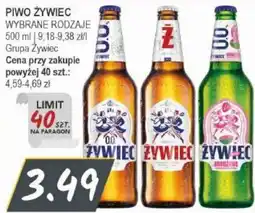 Słoneczko Piwo Żywiec oferta