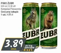 Słoneczko Piwo Żubr oferta