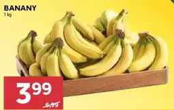 Stokrotka Banany oferta