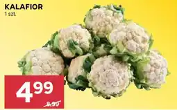 Stokrotka Kalafior oferta
