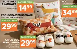 Stokrotka KAPCIE DOG MOM, JAMNIK oferta