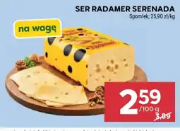 Stokrotka Ser Radamer Serenada oferta