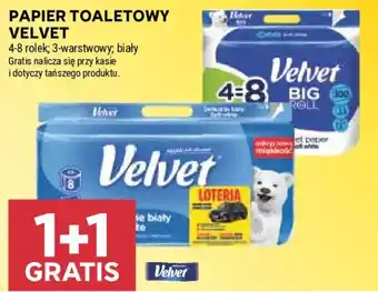 Stokrotka Papier toaletowy Velvet oferta