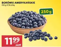 Stokrotka Borówki Amerykańskie oferta