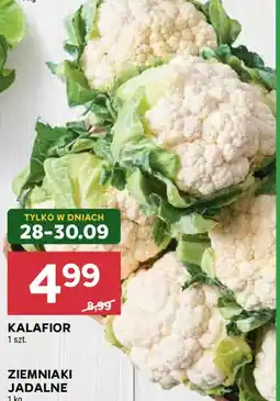 Stokrotka Kalafior oferta
