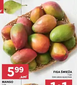 Stokrotka Mango oferta
