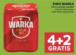 Stokrotka Piwo Warka Classic oferta