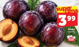 Topaz Express Śliwka oferta