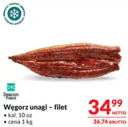 Makro Węgorz unagi – filet oferta