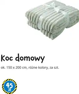 Tedi Koc domowy oferta