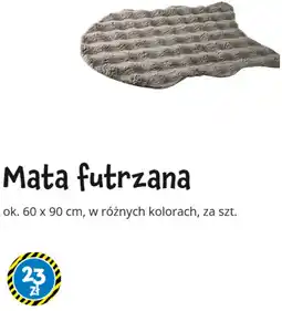 Tedi Mata futrzana oferta
