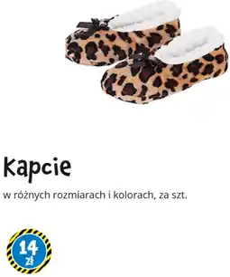 Tedi Kapcie oferta