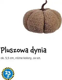 Tedi Pluszowa dynia ok. 5,5 cm oferta