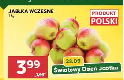 Stokrotka Jabłka wczesne oferta