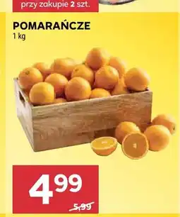 Stokrotka Pomarańcze oferta