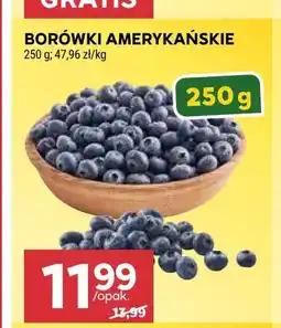 Stokrotka Borówki amerykańskie oferta