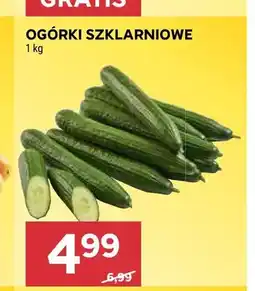 Stokrotka Ogórki szklarniowe oferta