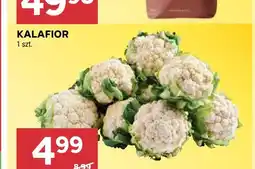 Stokrotka Kalafior oferta