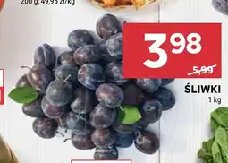 Stokrotka Śliwki oferta