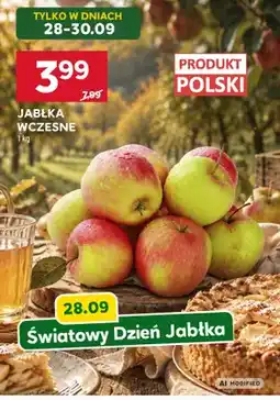 Stokrotka Jabłka wczesne oferta