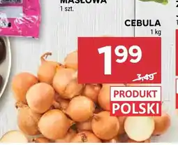 Stokrotka Cebula oferta