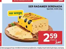 Stokrotka Ser Radamer Serenada oferta