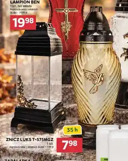 Stokrotka Lampion Ben oferta