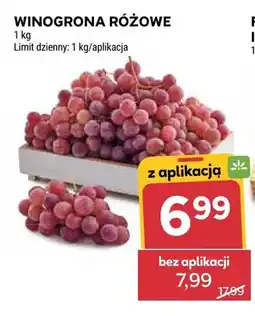 Stokrotka Winogrona różowe oferta
