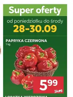 Stokrotka Papryka czerwona oferta
