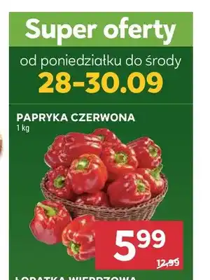 Stokrotka Papryka czerwona oferta