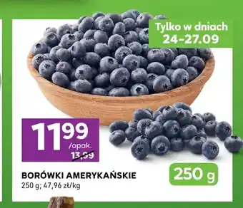 Borówki amerykańskie