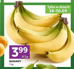 Stokrotka Banany oferta