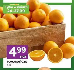 Stokrotka Pomarańcze oferta