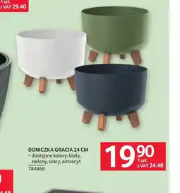 Selgros Doniczka Gracia oferta