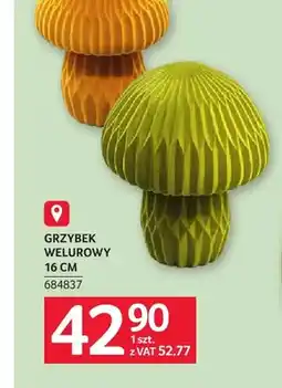 Selgros Grzybek welurowy 16 cm oferta